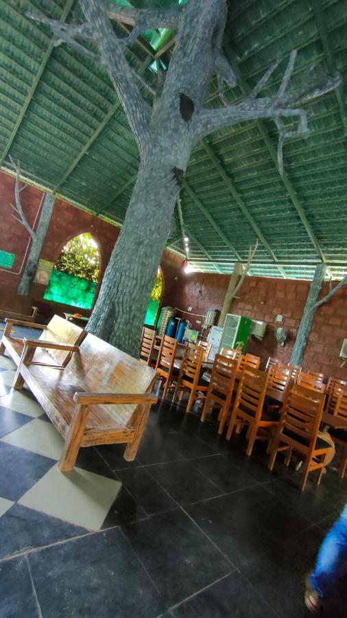 Dandeli Jungle Resort Exterior photo